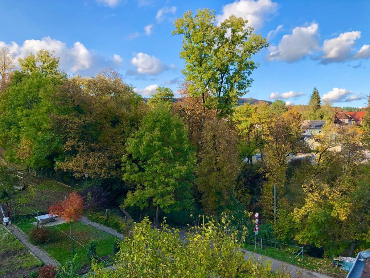 Ferienwohnung Im Gruenen Auf Idyllisch Gelegenen Gutshof Und Doch So Zentral Waldshut-Tiengen Eksteriør bilde